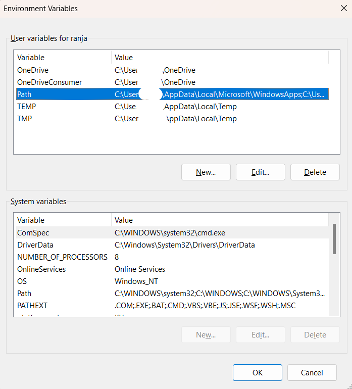 Env varible windows screen